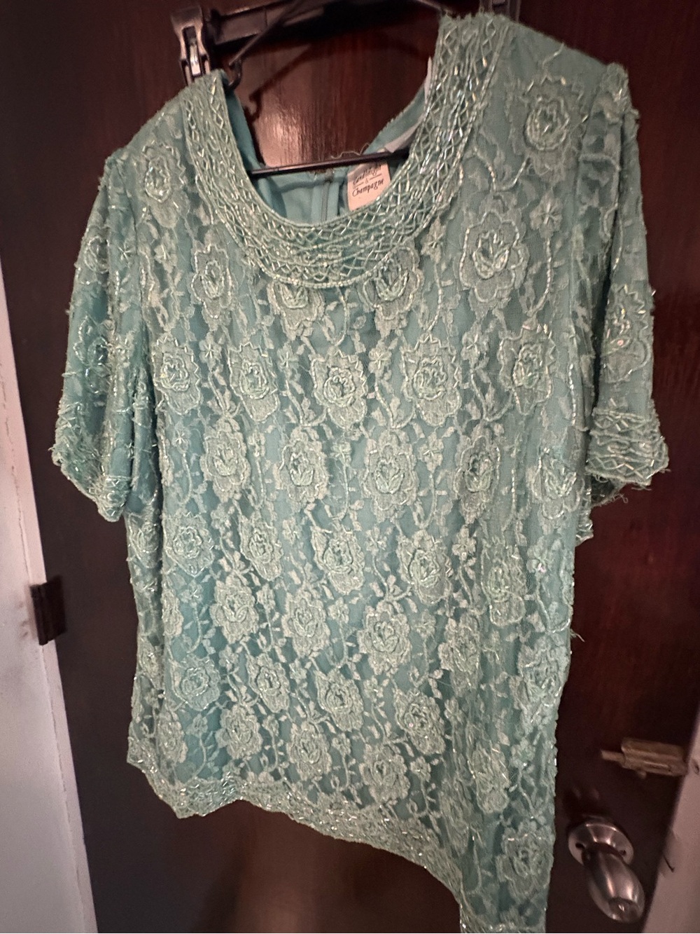 Vintage Embroidered Lace Scoop-Neck Blouse in Seafoam. Size 26W.